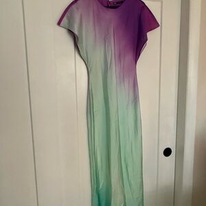 Zara Purple and Green Ombre Maxi Dress